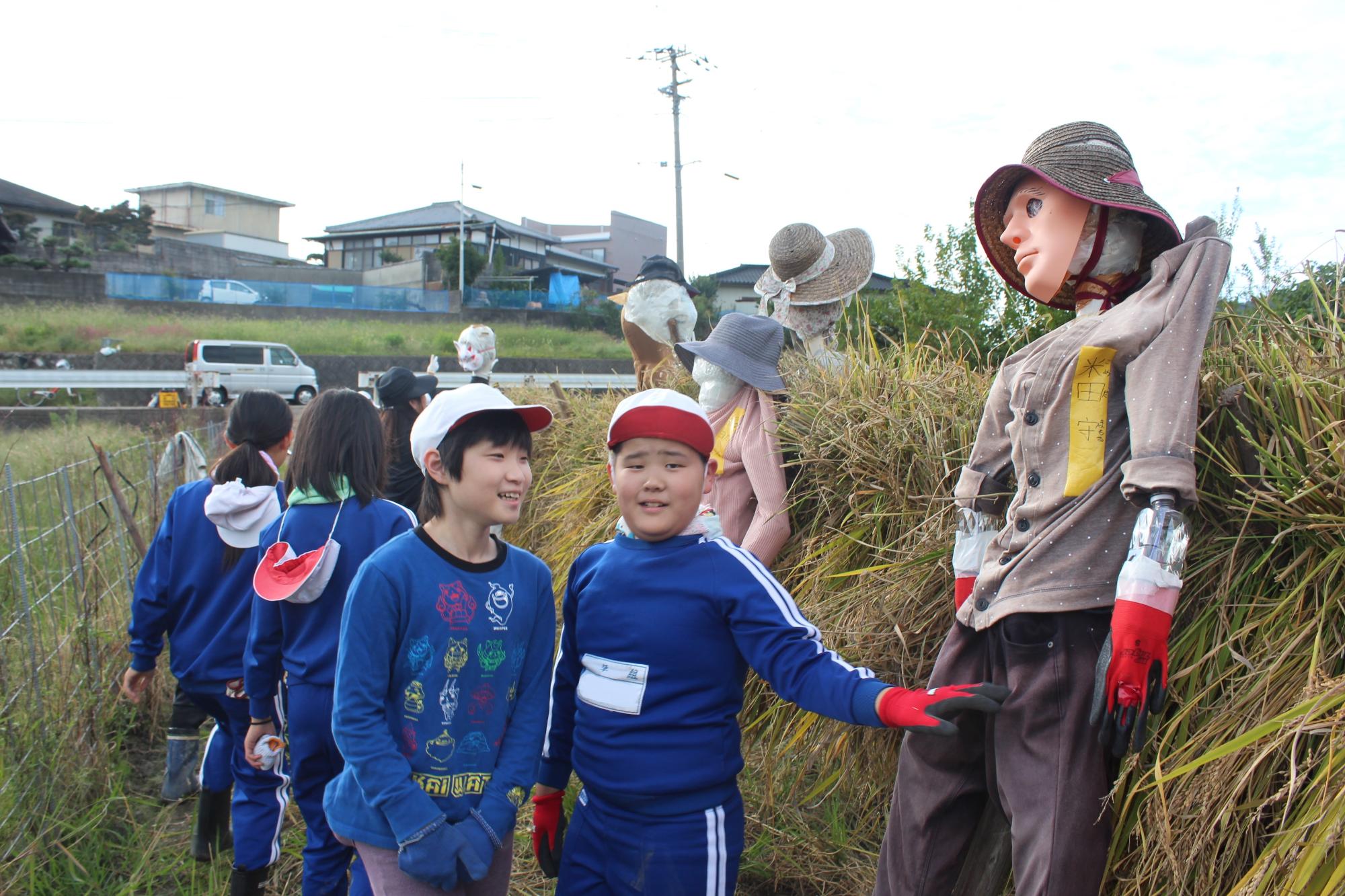 案山子をハゼかけのそばに立てかけた光景と児童